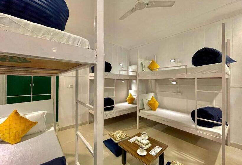 공동 객실, The Wraveler Tapovan Rooms And Dorms