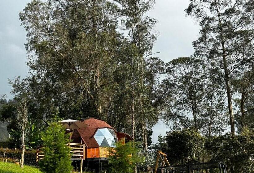Номер Стандарт с Гидромассажем, Glamping Shalom