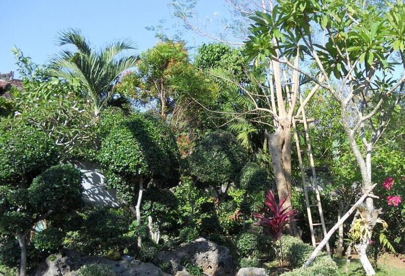ویلای 2 خوابه, Avisara Villa & Suite