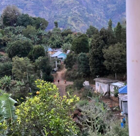 اتاق استاندارد با چشم‌انداز کوهستان, O T On The Rise