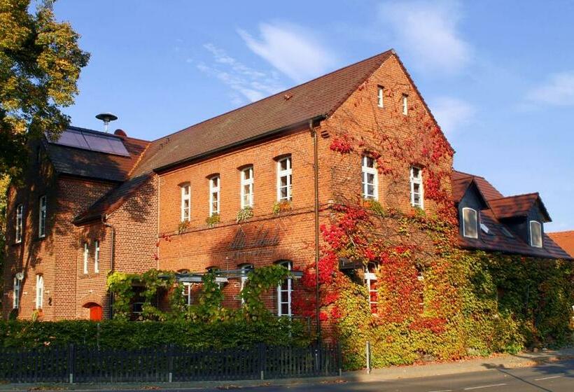 Номер Стандарт, Alte Schule Reichenwalde