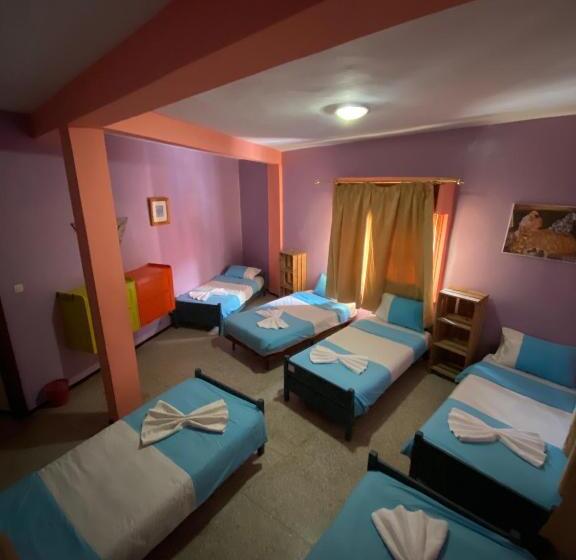 سرير فى غرفة مشتركه, Adventurekeys Surf Yoga Cowork