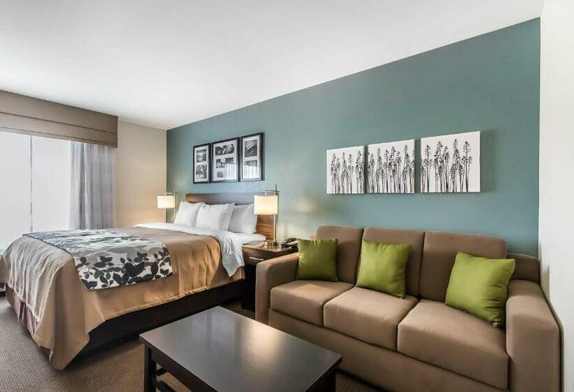Стандартный Номер Кровать Кинг, Sleep Inn & Suites O Fallon Mo   Technology Drive