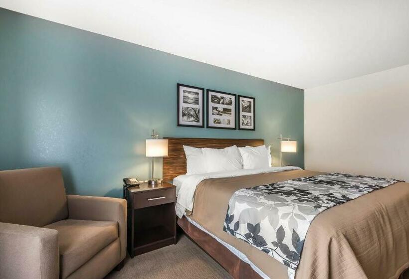 Стандартный Номер Кровать Кинг, Sleep Inn & Suites O Fallon Mo   Technology Drive