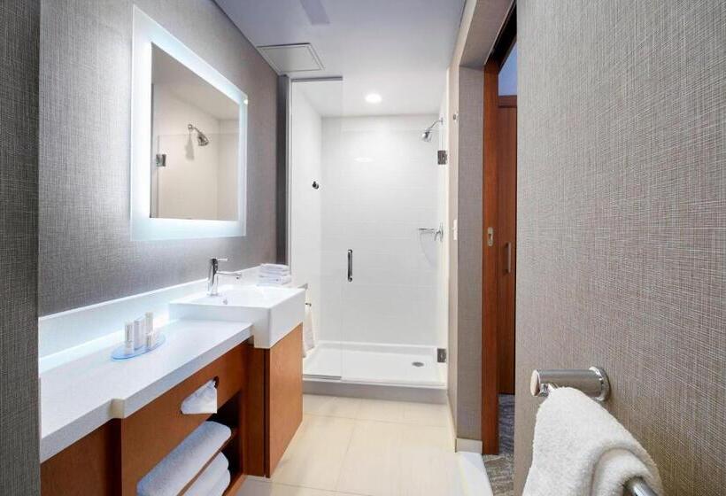 Люкс Кровать Кинг, Springhill Suites By Marriott Dayton Beavercreek