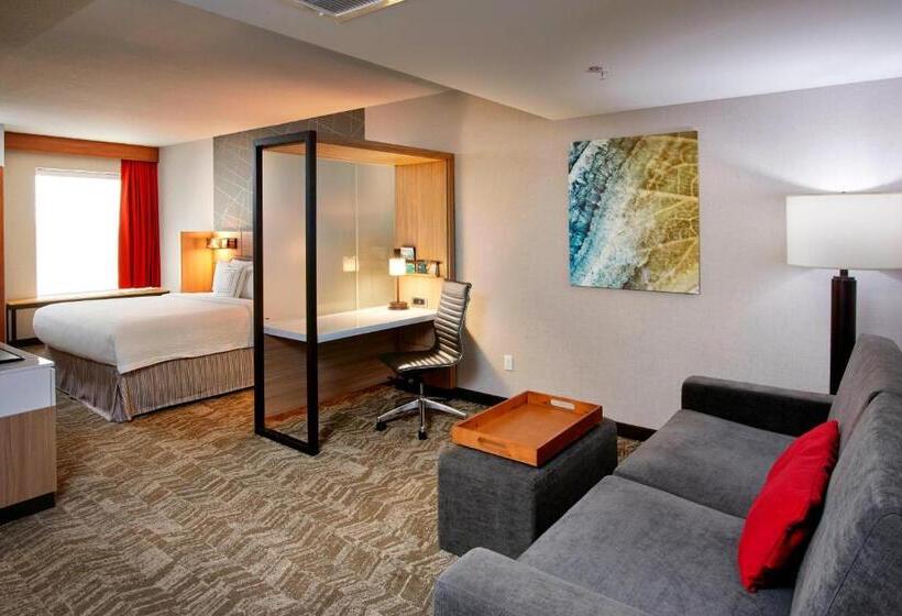 מיטת קינג בסוויטה, Springhill Suites By Marriott Dayton Beavercreek