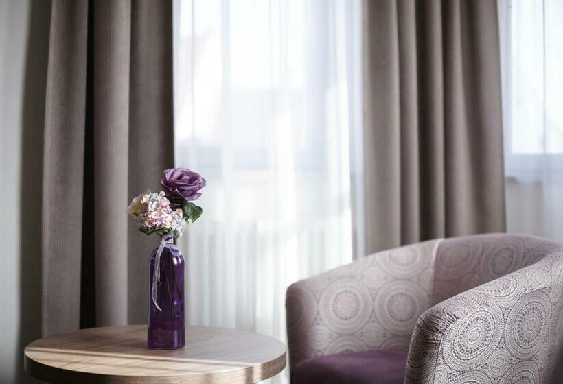 Номер Economy Индивидуальный, Boutique Hotel Zur Post