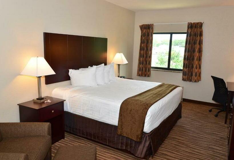 스탠다드 룸 킹사이즈 침대, Cobblestone Inn & Suites   Clarion