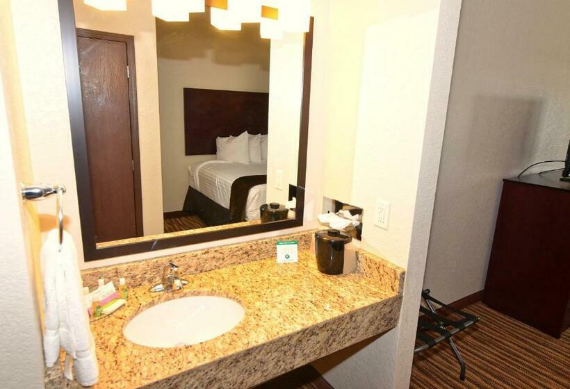 스탠다드 룸 킹사이즈 침대, Cobblestone Inn & Suites   Clarion