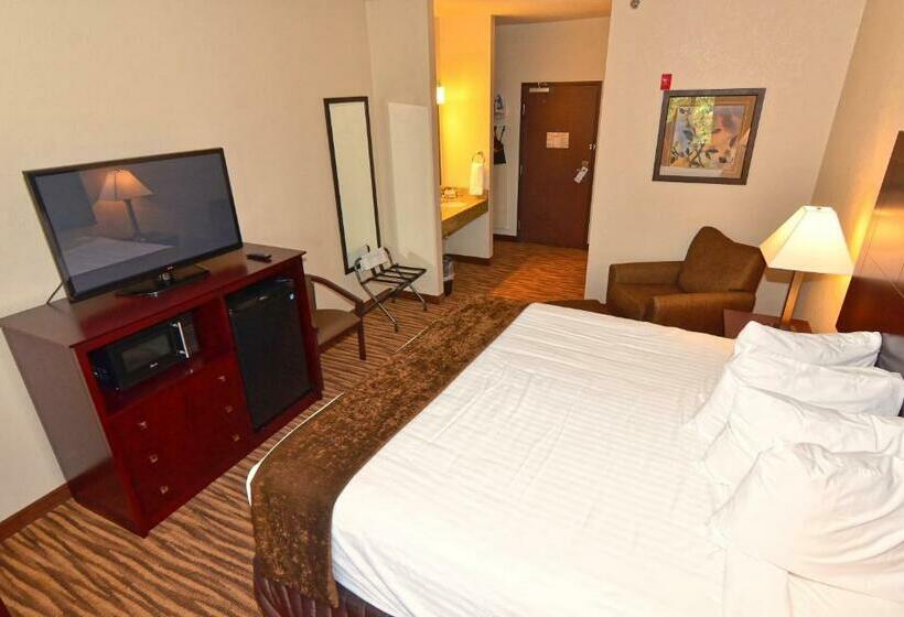 스탠다드 룸 킹사이즈 침대, Cobblestone Inn & Suites   Clarion