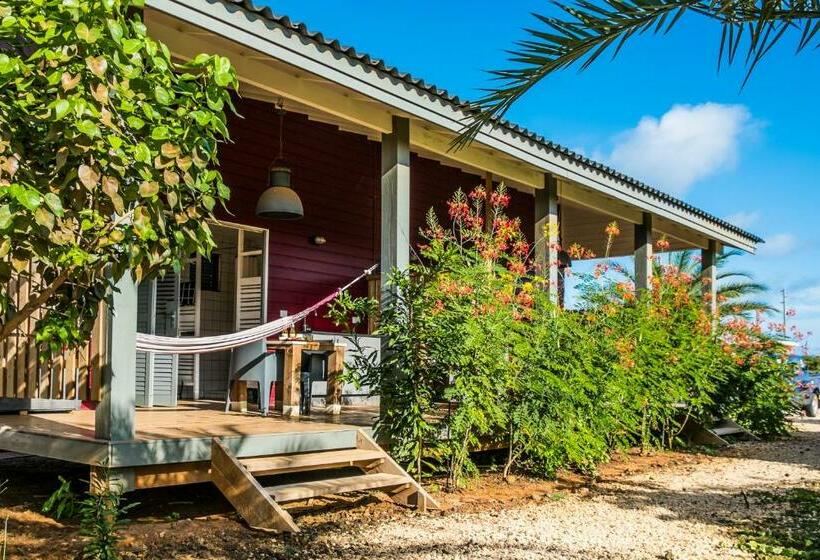 استودیو استاندارد با تراس, Red Palm Village