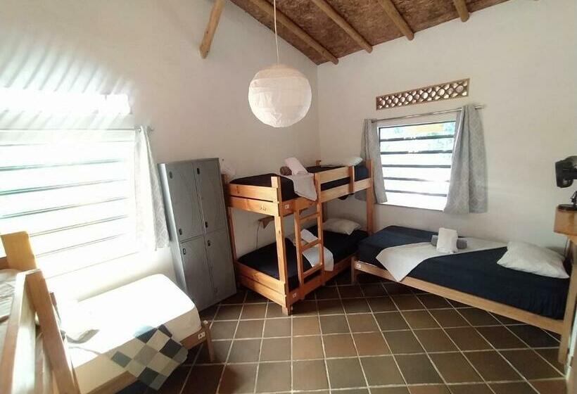 سرير فى غرفة مشتركه, Finca Hostal Bolivar   Casa Maracuya