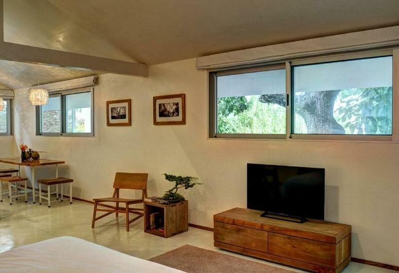 סוויטה, Moana Surf Resort