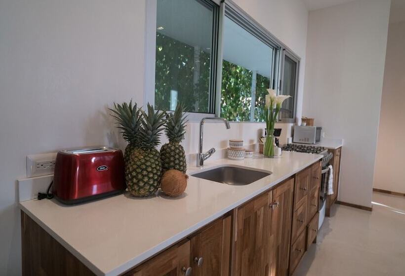 סטודיו דלוקס, Moana Surf Resort