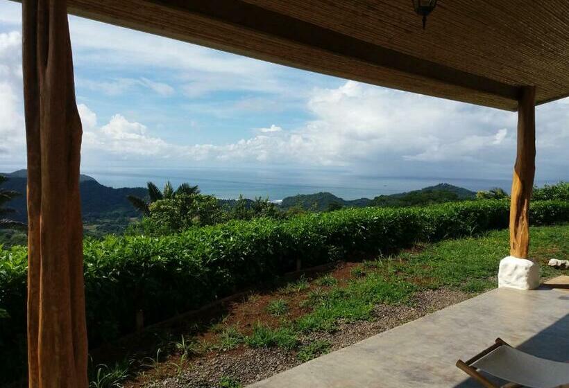豪华海景房带阳台, Peace & Lodge
