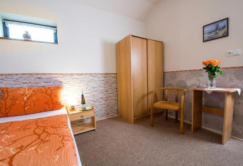 Одноместный Номер Basic, Rodinný Hotel Myslivna