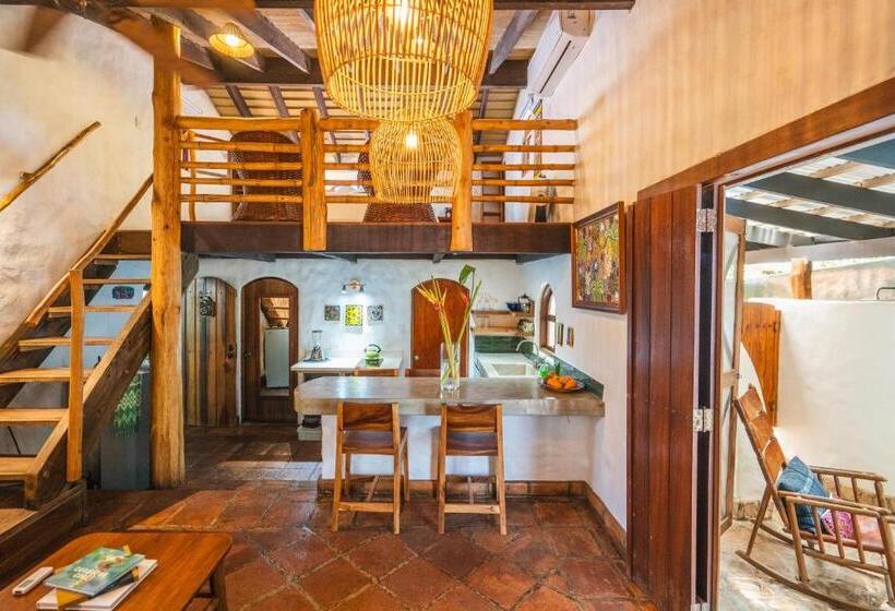 １ベッドルームのスーペリアアパートメント, Sueno Del Mar Beachfront