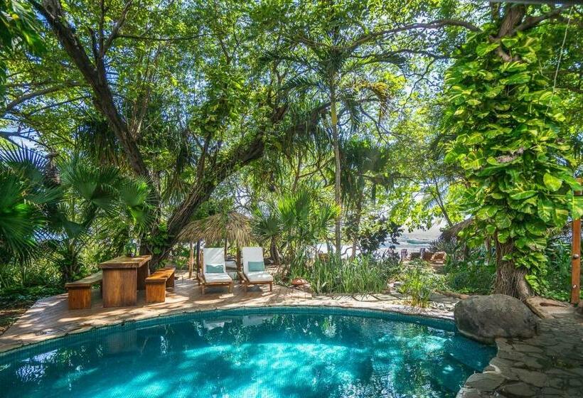 １ベッドルームアパートメント, Sueno Del Mar Beachfront