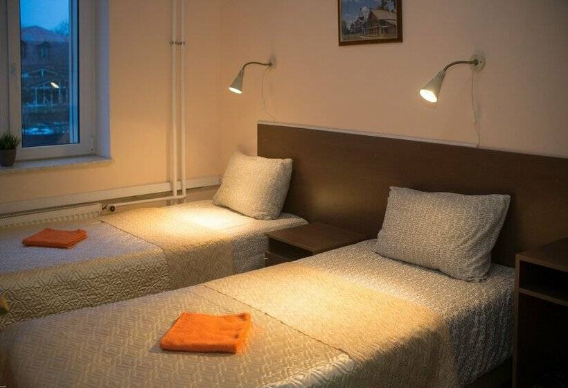 اتاق استاندارد یک تخته با سرویس بهداشتی مشترک, Guest House Orlovskiy