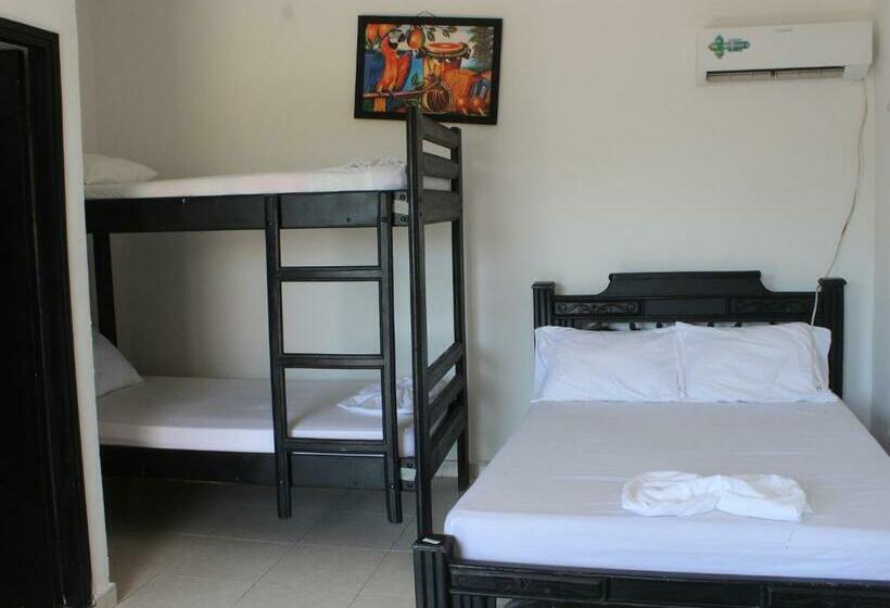Номер Стандарт, Hostel Nirvana Taganga