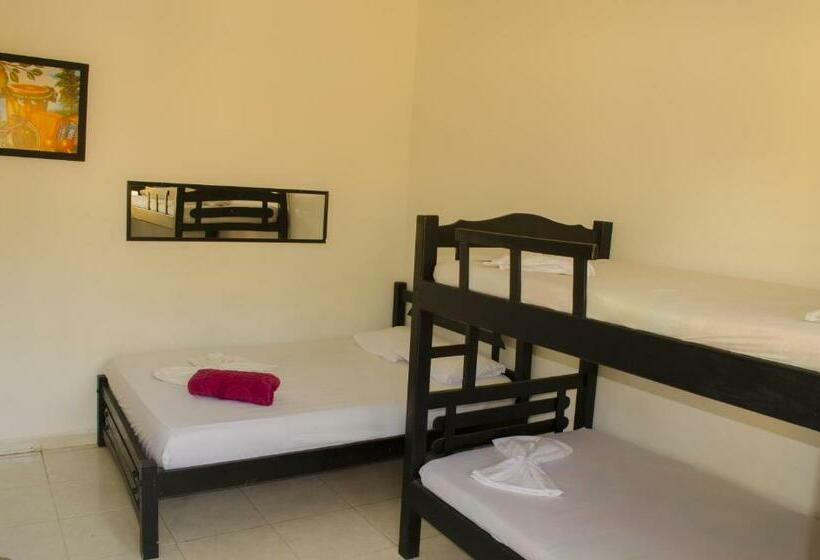 Номер Стандарт, Hostel Nirvana Taganga