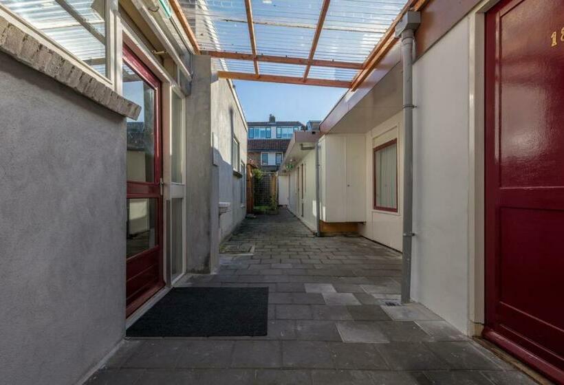 اتاق استاندارد یک نفره, Randenbroek