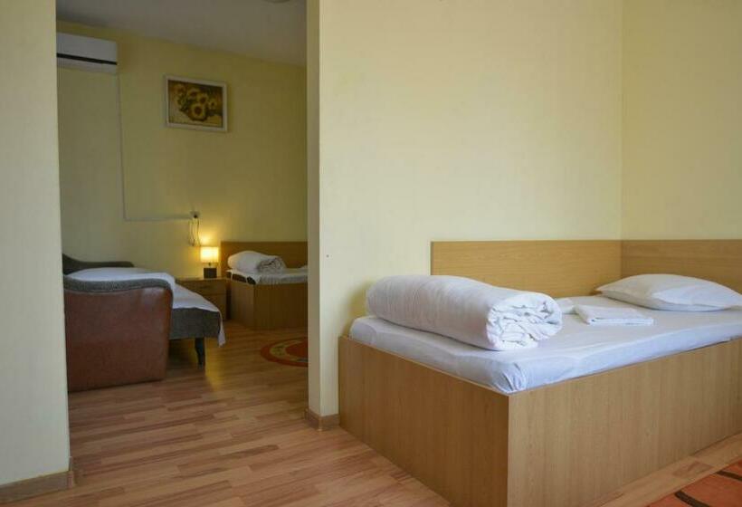 سوییت جونیور, Decebal Bistrita