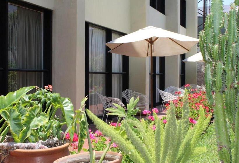 חדר סטנדרט עם מיטת קינג, Holiday Suites