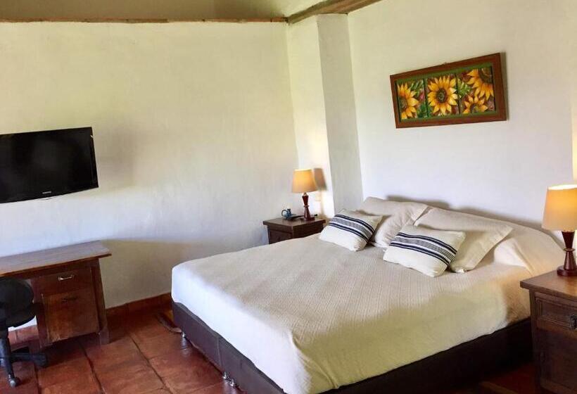 سوییت جونیور, Achiotte Masaya Collection