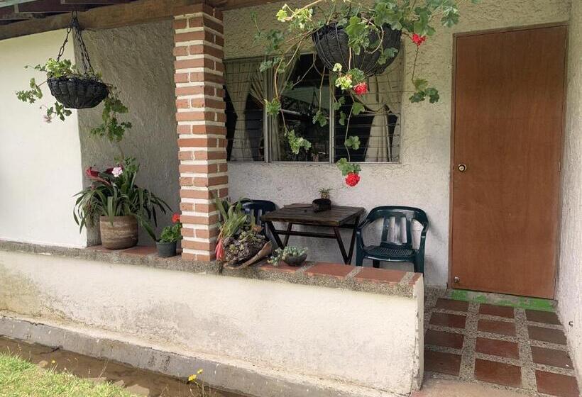 디럭스 트리플 룸, Al Bosque Hostel & Glamping