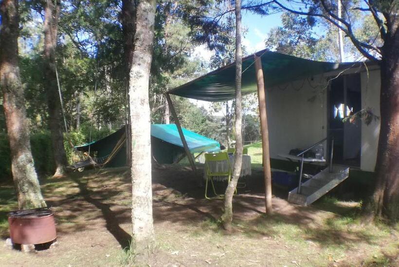스탠다드 룸, Al Bosque Hostel & Glamping