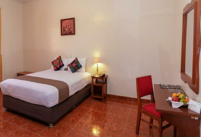 标准单人间, Dm Hoteles Ayacucho