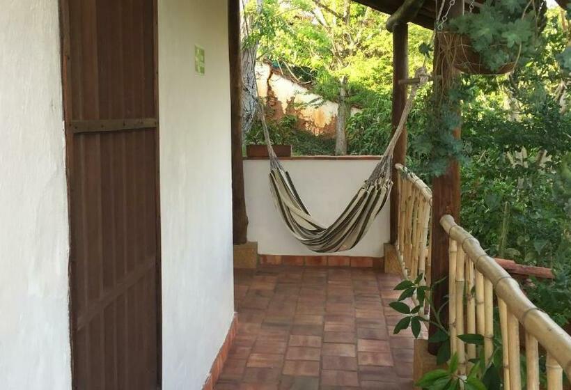 اتاق سوپریور, Achiotte Masaya Collection