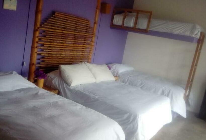 4인용 스탠다드 룸, Bamboo Lodge