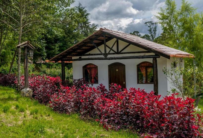 Бунгало Стандарт 3 Спальни, Villa De Paris