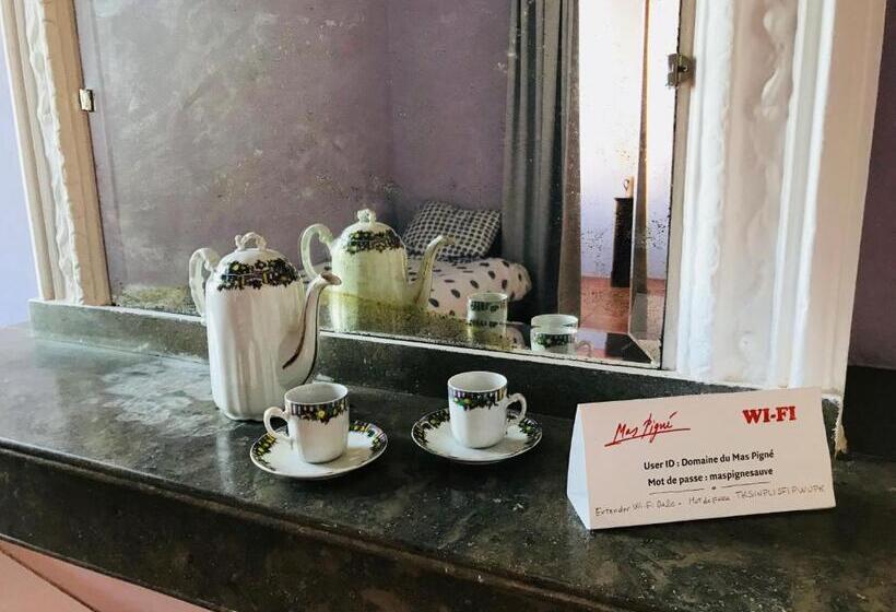 Дом 1 Спальня, Domaine Mas Pigné
