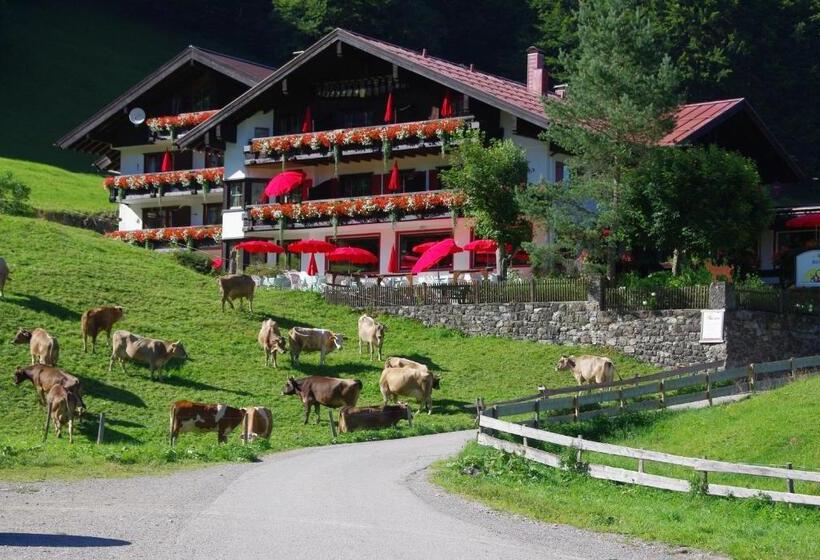 Номер Deluxe с Балконом, Alpengasthof Hotel Schwand