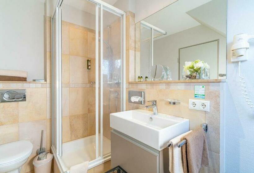 Апартаменты 1 Спальня, Apartment Hotel Schreier