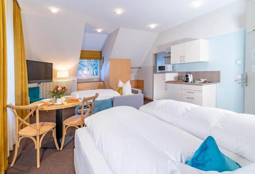 Апартаменты 1 Спальня, Apartment Hotel Schreier