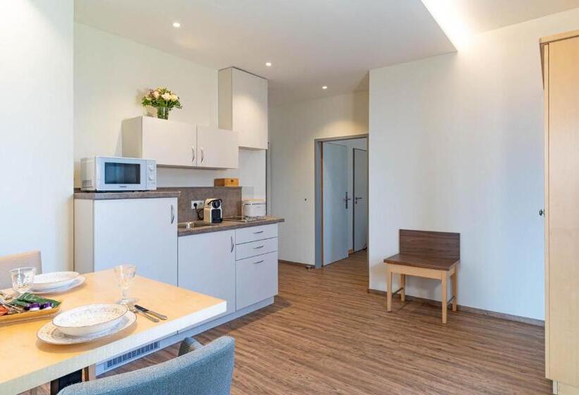 Апартаменты 1 Спальня с Балконом, Apartment Hotel Schreier