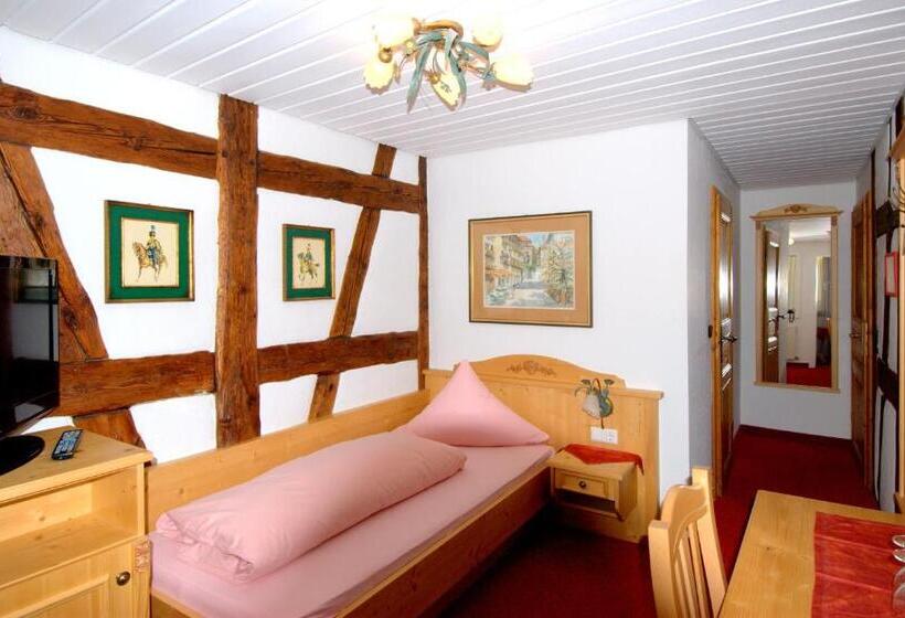 스탠다드 싱글 룸, Seehotel Schäpfle