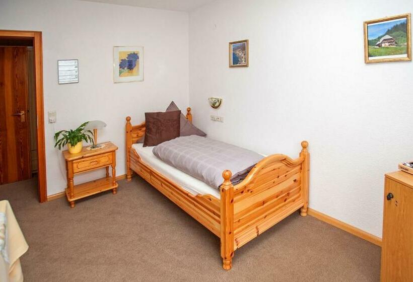 Номер Стандарт Индивидуальный, Bed & Breakfast Auerhahn   Black Forest