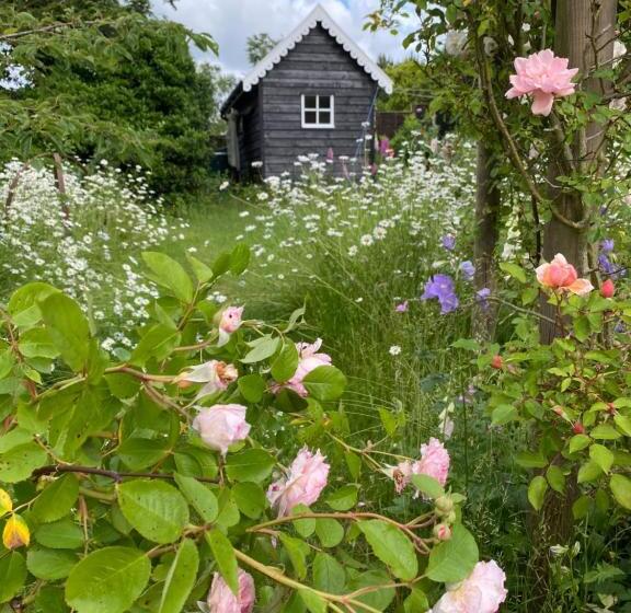 디럭스 룸, Mulleys Cottage