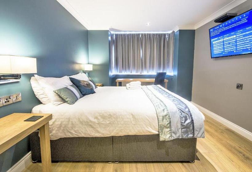 Номер Стандарт, Dolphin Rooms