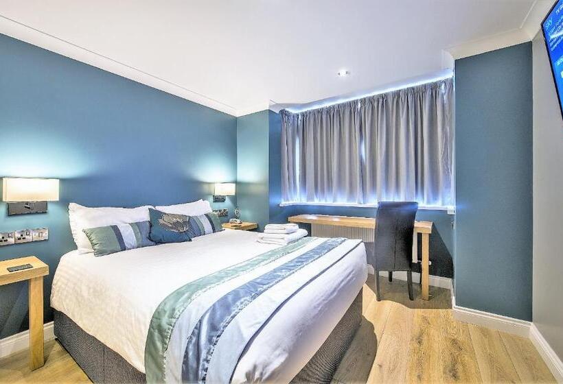Номер Стандарт, Dolphin Rooms