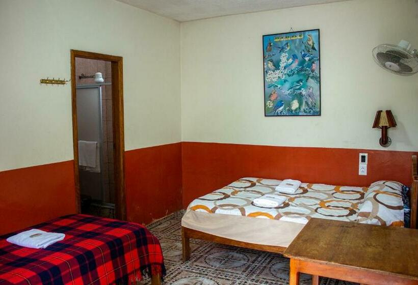 스탠다드 룸, Hostal Limoncocha