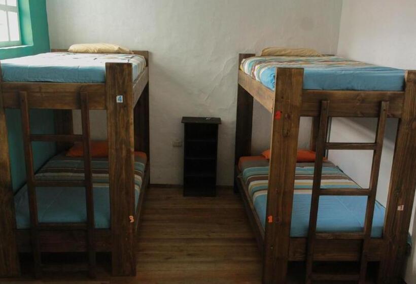 Кровать в Общей Комнате, Hostal Mochiliers Bed And Breakfast