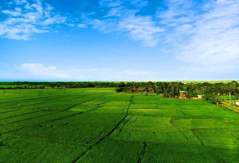 Трехместный Номер Стандарт с Балконом, Avonil Resort Yala