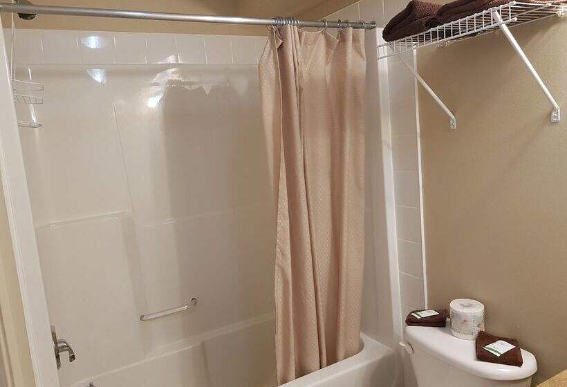 带2个双人床的标准工作室, Avalon Inn