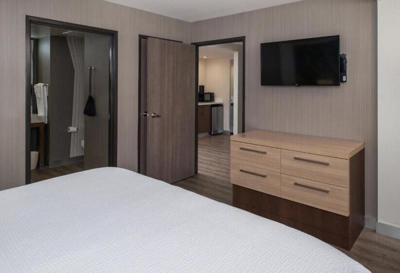 Люкс Кровать Кинг, Courtyard By Marriott Temecula Murrieta